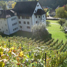 weinberg hinterm schl__ssle_jpg-1367183595