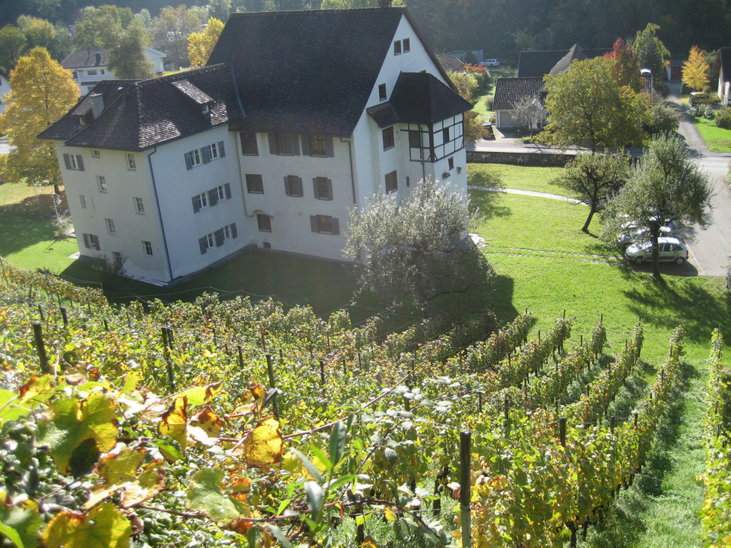 weinberg hinterm schl__ssle_jpg-1367183595