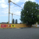 k-BILD5241.JPG