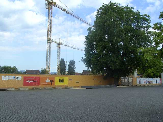 k-BILD5241.JPG