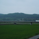 April 29 009.JPG