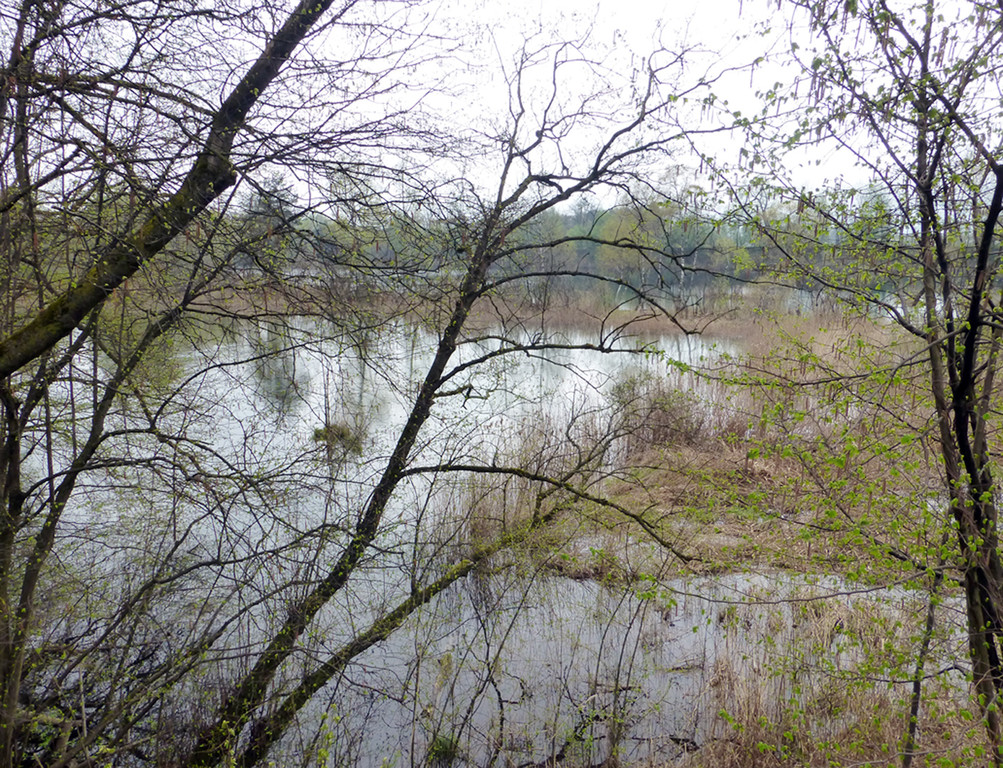 Schutz3Natur_jpg-1367232360