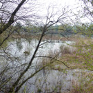 Schutz3Natur_jpg-1367232360