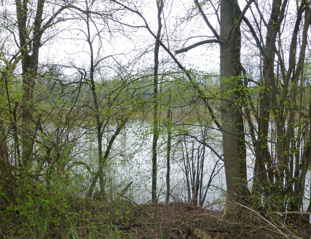 Schutz10Natur_jpg-1367232434