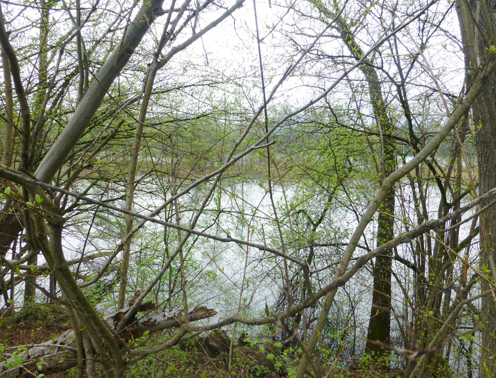 Schutz11Natur_jpg-1367232450