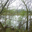 Schutz11Natur_jpg-1367232450