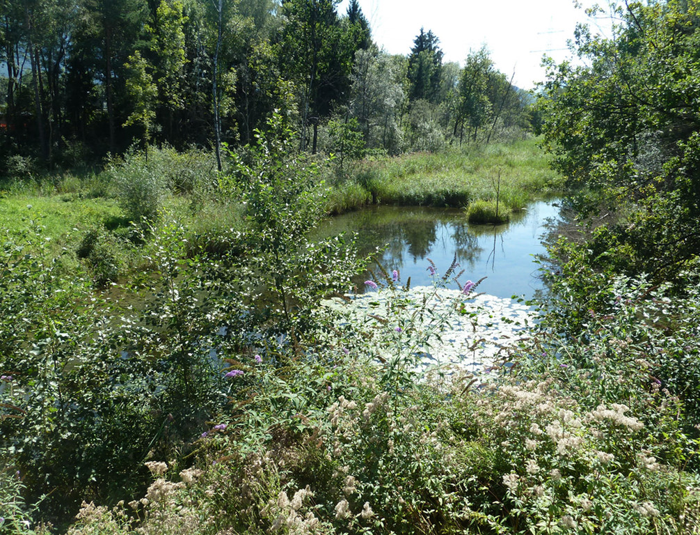 Schutz21Natur_jpg-1367232602