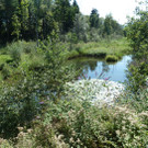 Schutz21Natur_jpg-1367232602