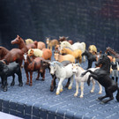 DSC_2083_jpg-1367244919