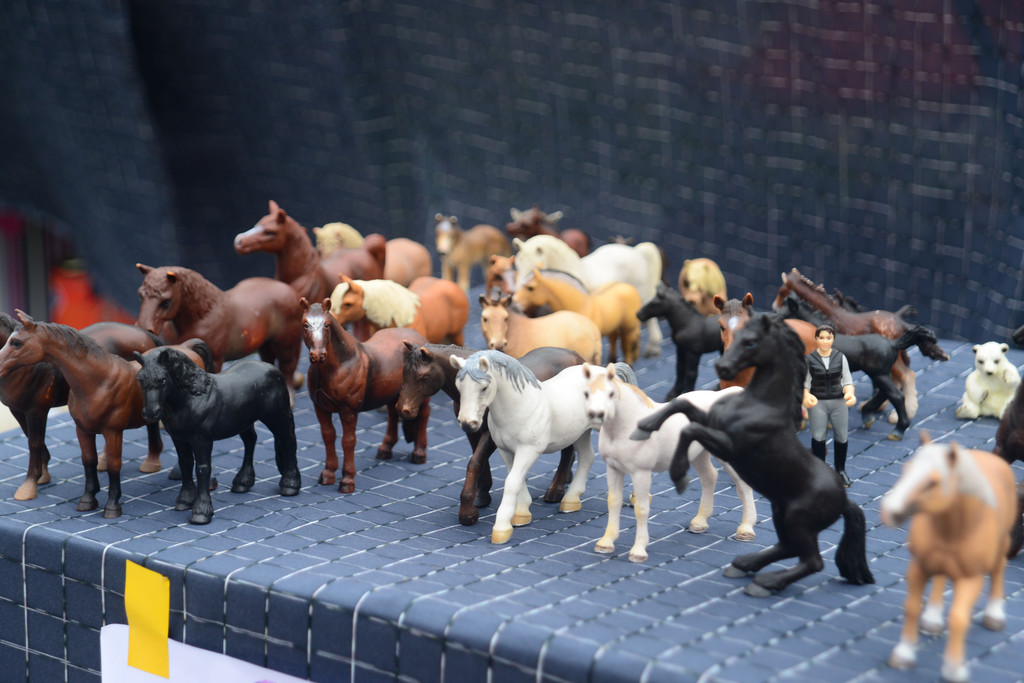 DSC_2083_jpg-1367244919