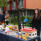 DSC_2084_jpg-1367244953