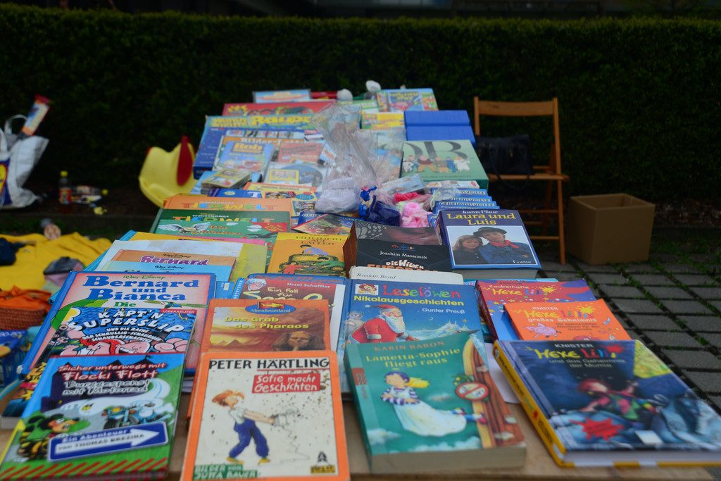 DSC_2090_jpg-1367245129