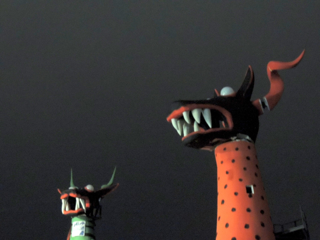 DSCN5352_JPG-1367267465