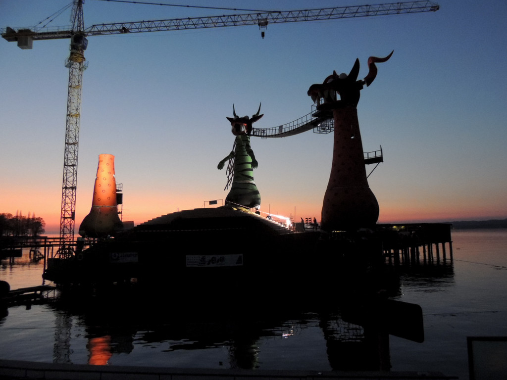 DSCN6118_JPG-1367267498