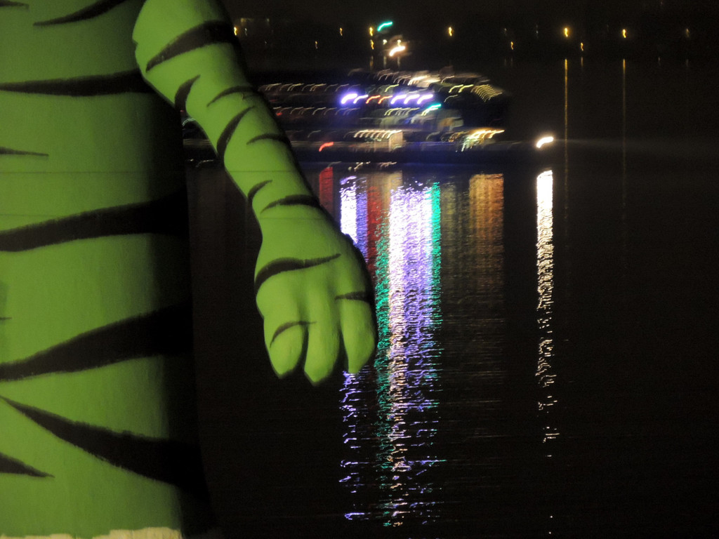 DSCN5392_JPG-1367267480