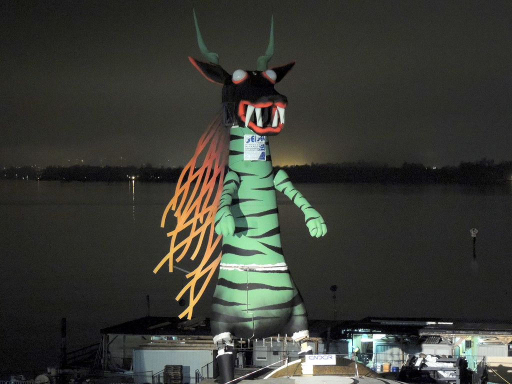 DSCN5432_JPG-1367267490