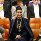 IBD0509-20130430.jpg
