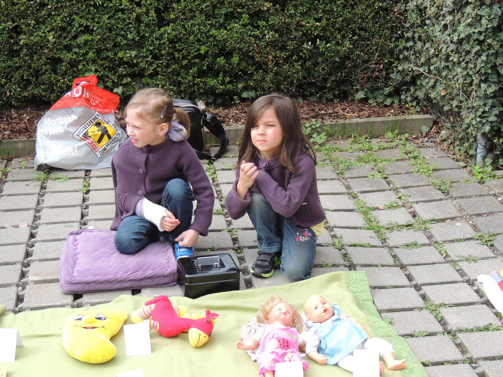 DSCN6792_JPG-1367351613