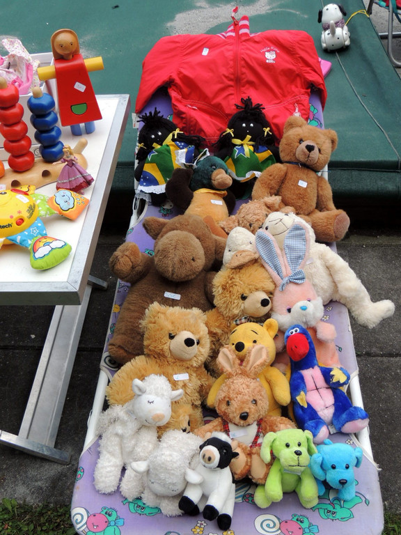 DSCN6797_JPG-1367351631