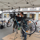 DSCN6831_JPG-1367352260