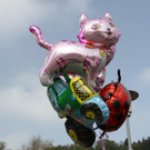 01052013maimarktpalling05012aktivnews__019.JPG