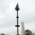 Maibaum in St.Georgen (OÖ)