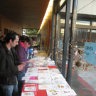IMG_3782a_jpg-1267398855
