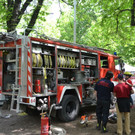 DSC_1962.JPG