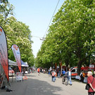 DSC_1966.JPG