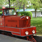 DSC_1968.JPG