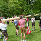 normal_01052013fmt_maxglan_maibaum_mw-23.jpg