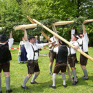 normal_01052013fmt_maxglan_maibaum_mw-25.jpg