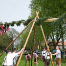 normal_01052013fmt_maxglan_maibaum_mw-30.jpg
