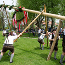 normal_01052013fmt_maxglan_maibaum_mw-32.jpg