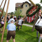 normal_01052013fmt_maxglan_maibaum_mw-38.jpg
