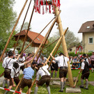 normal_01052013fmt_maxglan_maibaum_mw-44.jpg