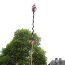 normal_01052013fmt_maxglan_maibaum_mw-45.jpg