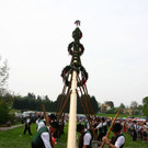 Maibaumaufstellen Aigen