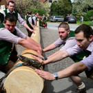 normal_01052013fmt_MaibaumGroedig_ex_008.JPG