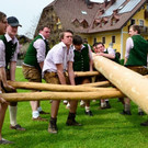 normal_01052013fmt_MaibaumGroedig_ex_018.JPG