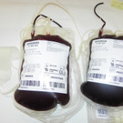 4_5_11 011_jpg-1367423757