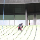 DSCN7140_JPG-1367427576