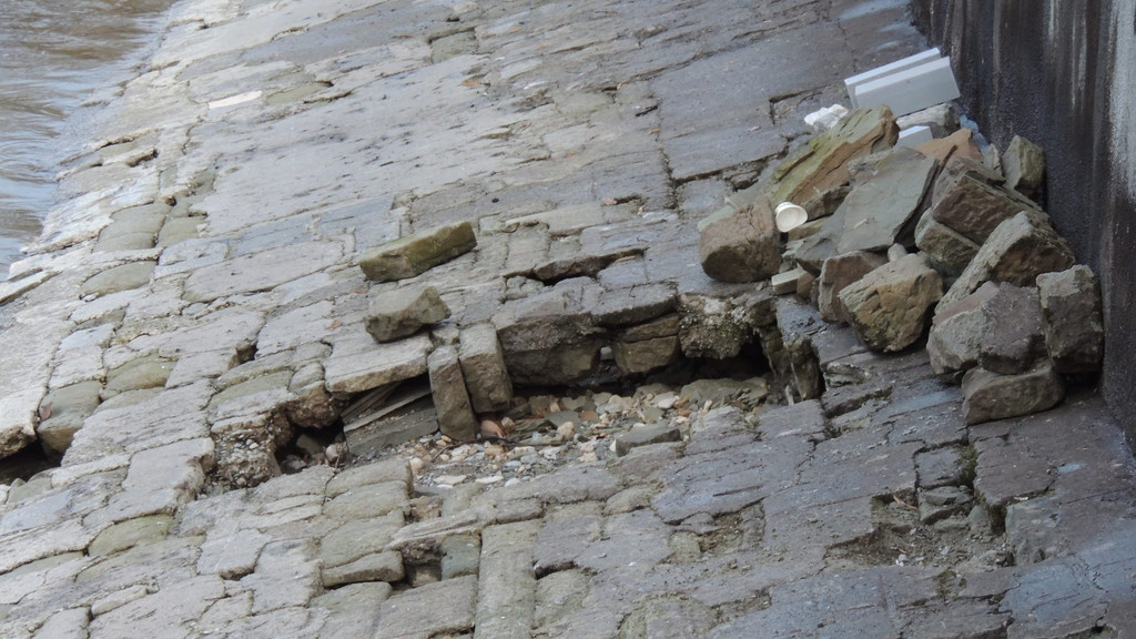 DSCN5791_JPG-1367429219