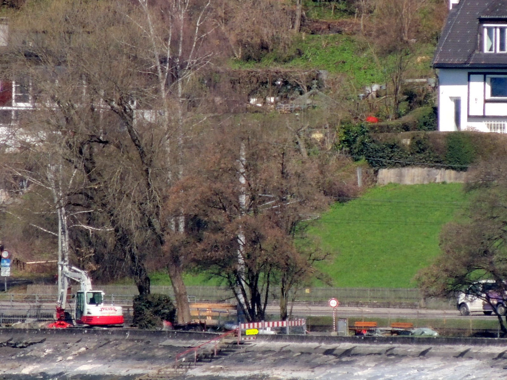 DSCN1817_JPG-1367429184