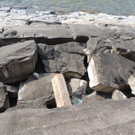 DSCN7306_JPG-1367429223