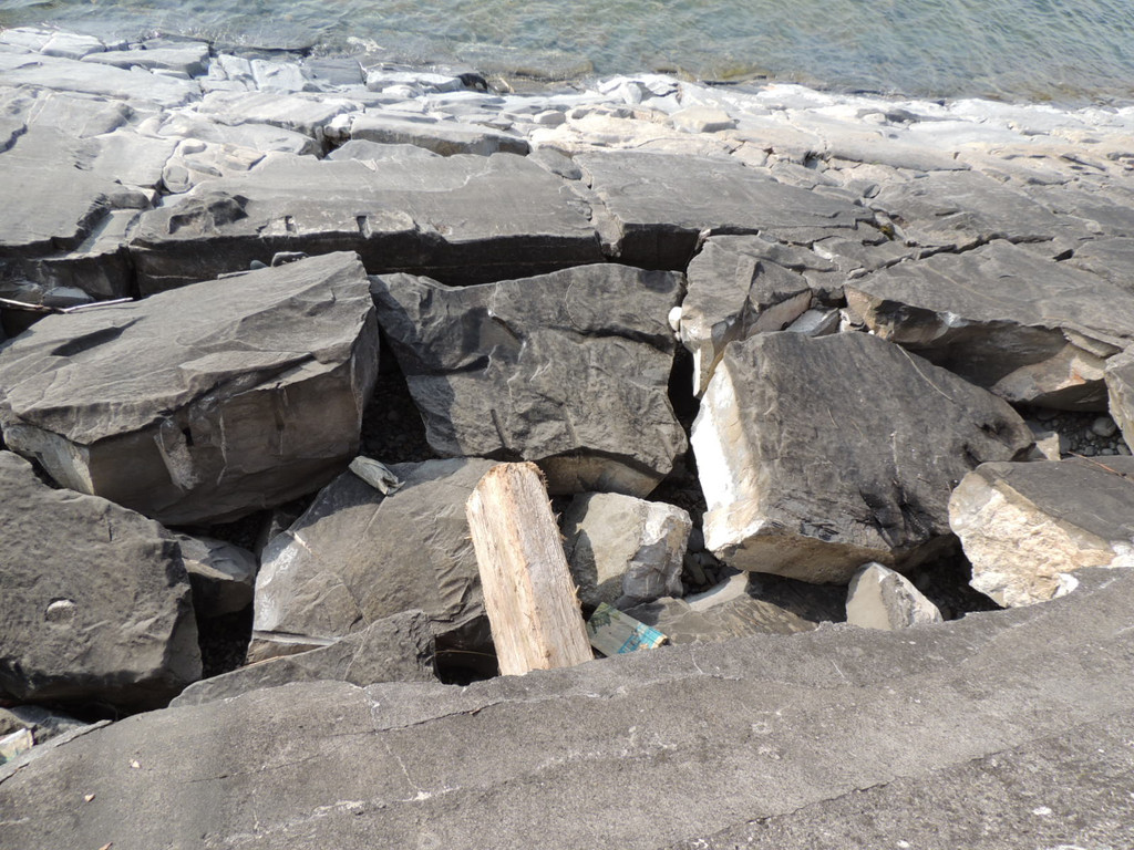 DSCN7306_JPG-1367429223