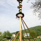 Baumkraxeln in Elsbethen