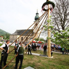 normal_01052013fmt_maibaumstehtels_ta_003.JPG