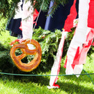 6_068b9c22b2fd36181af038d759dacaa9_640.jpg