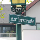 Maibaumaufstellen Anif